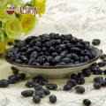 2016 new crop small dry black kidney bean